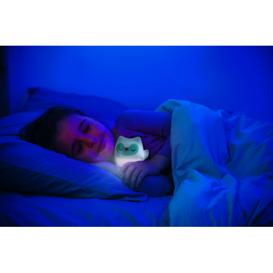Sada noční lampičky se svítícím muchláčkem pomůže vašemu dítěti při samostatném usínání v postýlce.