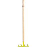 Hrábě zelené