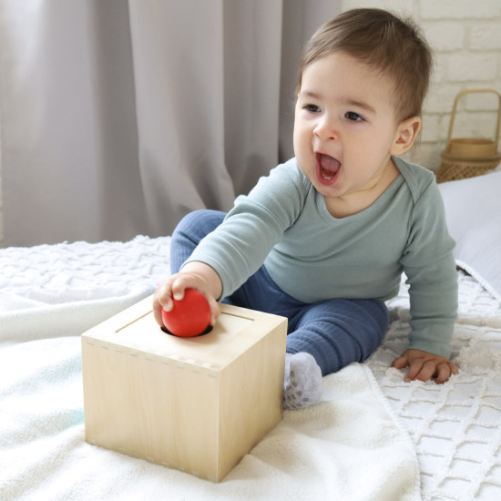 Montessori box Vkládačka 4v1 Didaktická hračka Tooky Toy