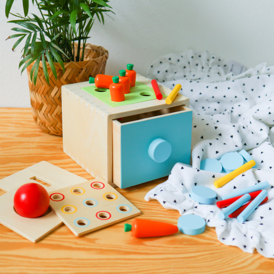 Montessori box Vkládačka 4v1 Didaktická hračka Tooky Toy