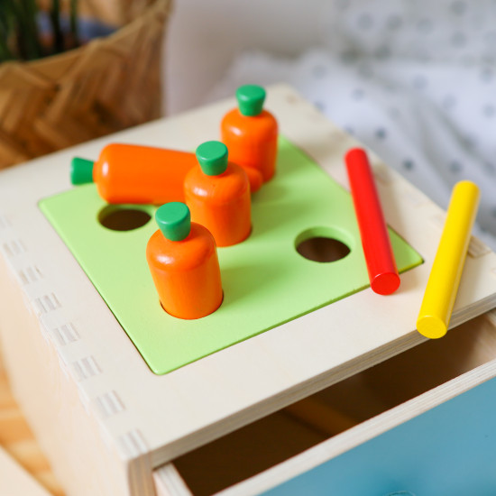 Montessori box Vkládačka 4v1 Didaktická hračka Tooky Toy