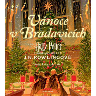 Harry Potter: Vánoce v Bradavicích