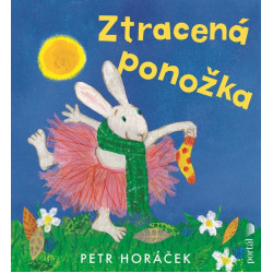 Ztracená ponožka