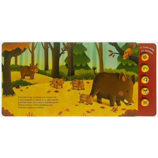 Co uslyšíš v lese? První zvuky pro miminko