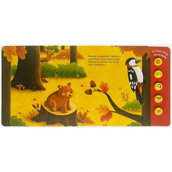 Co uslyšíš v lese? První zvuky pro miminko