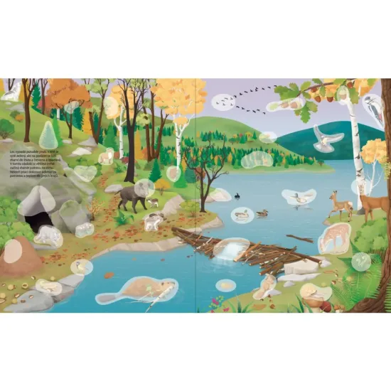 Svět samolepek Příroda