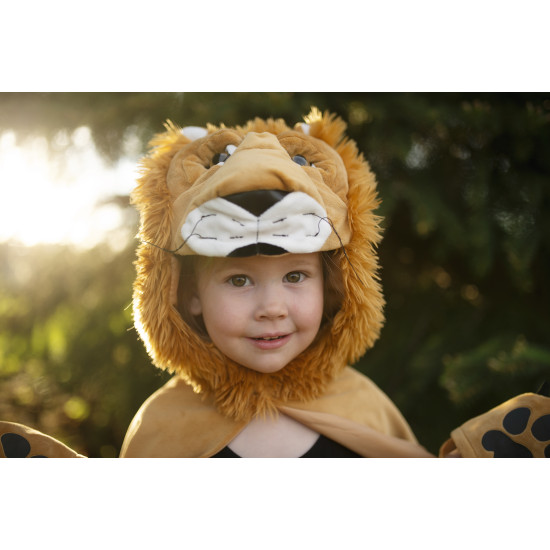 Kostým Lev (věk 2-3 roky)