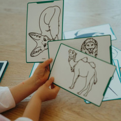 Doplňkové karty Kidydraw mini Zvířata celého světa, oceánů a piráti