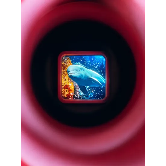 Retro 3D prohlížeč obrázků Pink