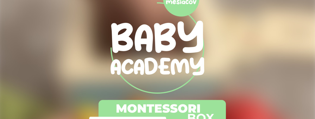 BABY ACADEMY - Montessori box Vkládačka 4v1