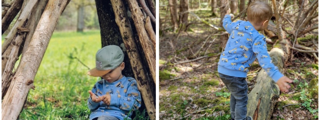 7 tipů jak zabavit děti v lese