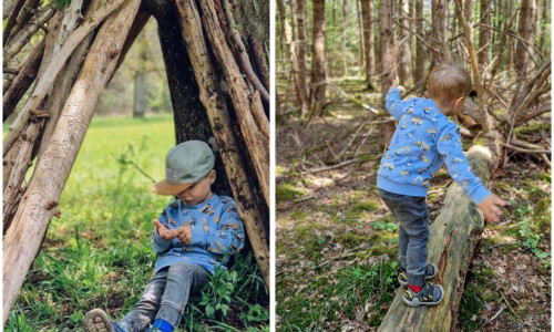 7 tipů jak zabavit děti v lese
