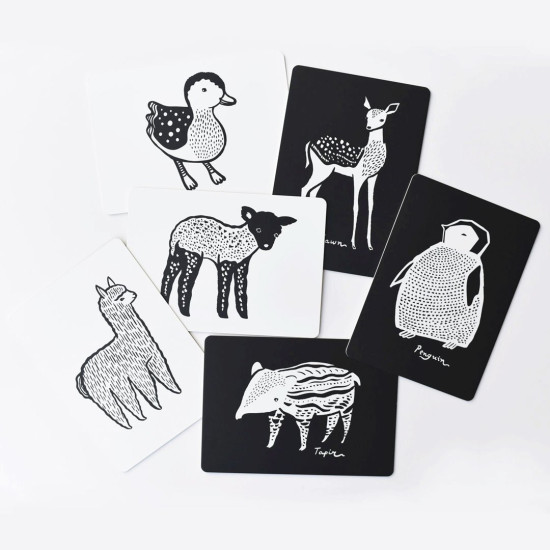 Velké kontrastní kartonové kartičky s černobílým motivem zvířátek pro rozvoj dítěte. 