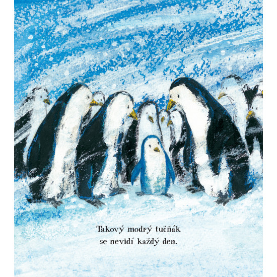 Modrý tučňák
