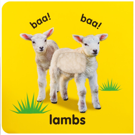 Leporelo Baby Animals rozšíří Vašemu miminku slovní zásobu o to, jak se jmenují mláďátka známých zvířátek. 