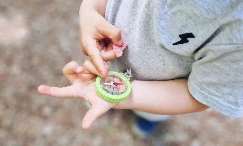 Aktivity do lesa II.