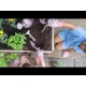 Dětská sada zahradního nářadí Fairy Garden s dřevěnými rukojeťmi a jemným potiskem