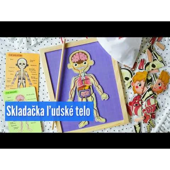 Magnetická skládačka Lidské tělo pro děti