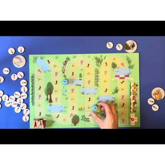 Strategická společenská hra Caballo