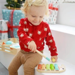 Hudební sada Zvířátka