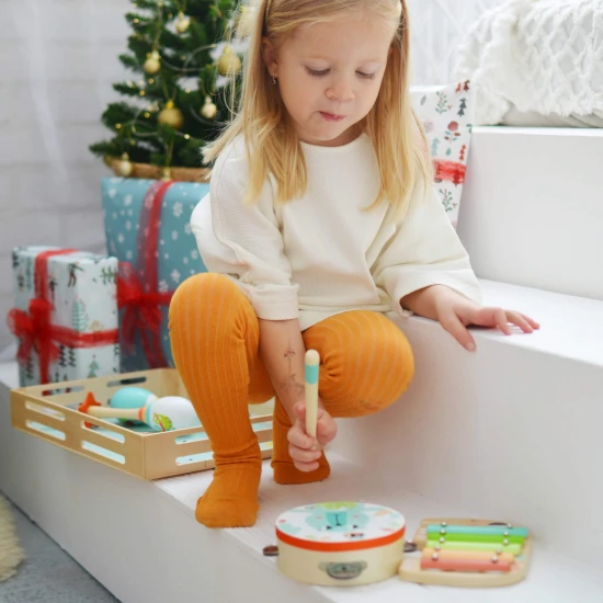 Hudební sada Zvířátka