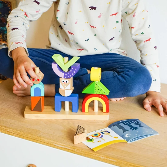 Nasazování stíny Logická hra pro děti Tooky Toy