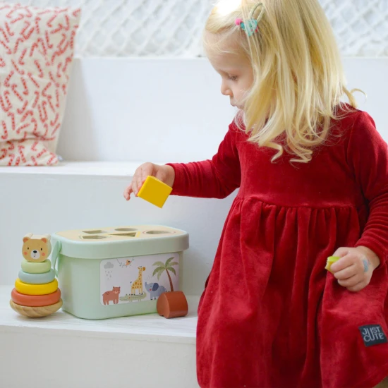 Sada dřevěných hraček pro děti 3 v 1