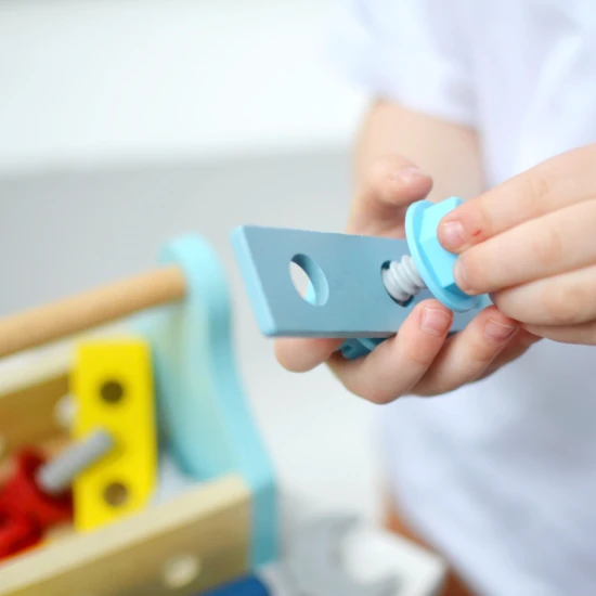 Dřevěné nářadí pro děti v přenosném boxu Tooy Toy