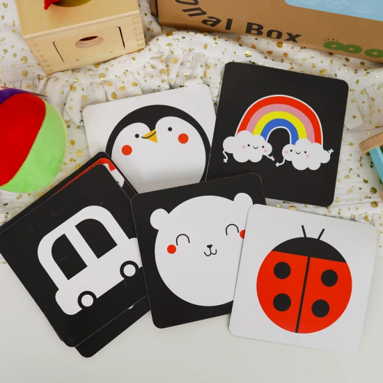 Edukační box Baby Montessori hračky pro miminka Tooky Toy