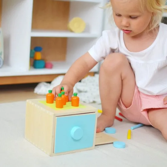 13 –18 měsíců Edukační box Midi Vzdělávací hračky od 1 roku Tooky Toy