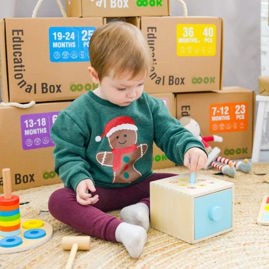 13 –18 měsíců Edukační box Midi Vzdělávací hračky od 1 roku Tooky Toy