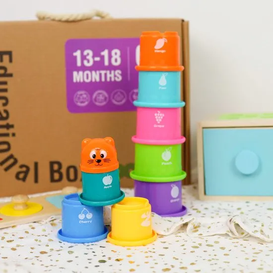 13 –18 měsíců Edukační box Midi Vzdělávací hračky od 1 roku Tooky Toy