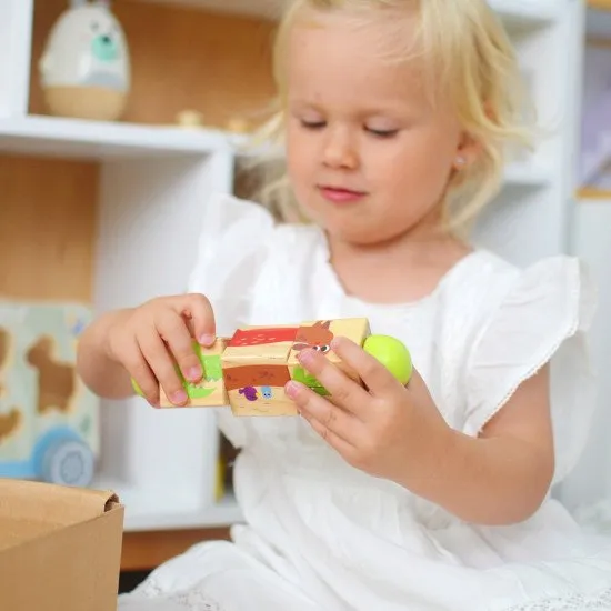 19–24 měsíců Edukační box Maxi Didaktické hračky do 2 let Tooky Toy