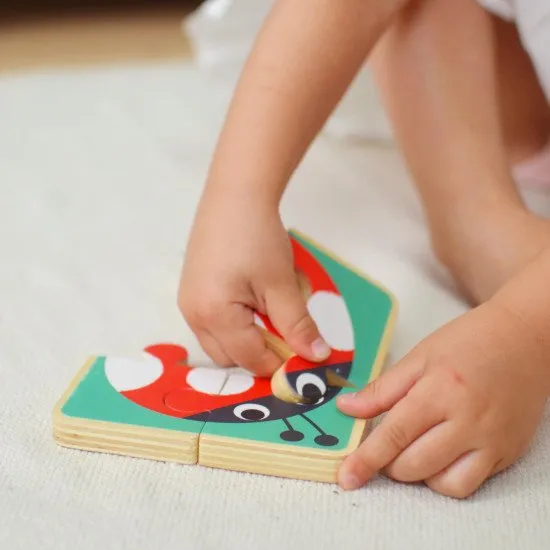 19–24 měsíců Edukační box Maxi Didaktické hračky do 2 let Tooky Toy