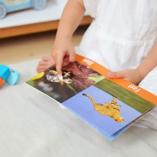 19–24 měsíců Edukační box Maxi Didaktické hračky do 2 let Tooky Toy