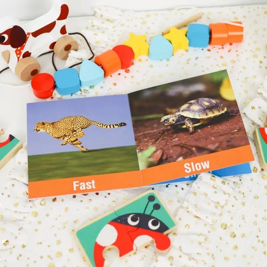 19–24 měsíců Edukační box Maxi Didaktické hračky do 2 let Tooky Toy