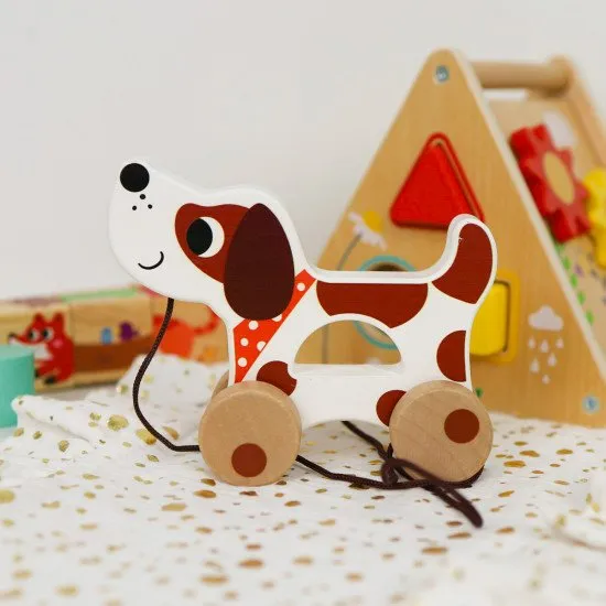 19–24 měsíců Edukační box Maxi Didaktické hračky do 2 let Tooky Toy