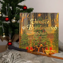 Harry Potter: Vánoce v Bradavicích