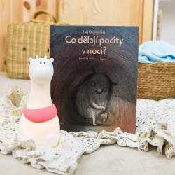 Co dělají pocity v noci?