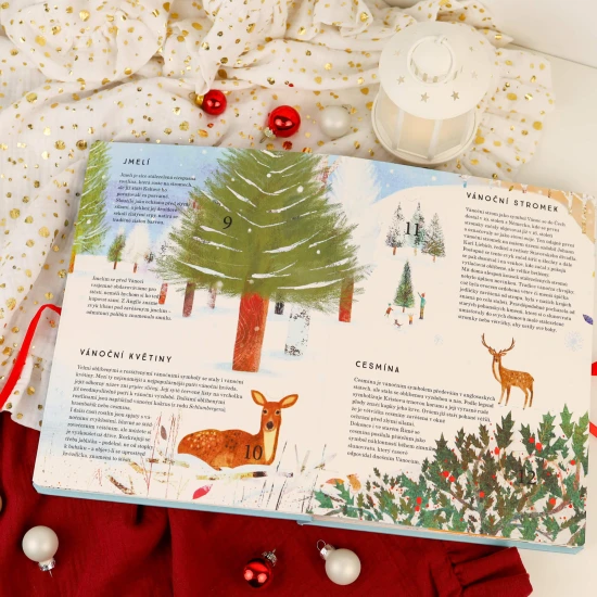 Povídání o českých Vánocích. Zkraťte si čekání na Ježíška!