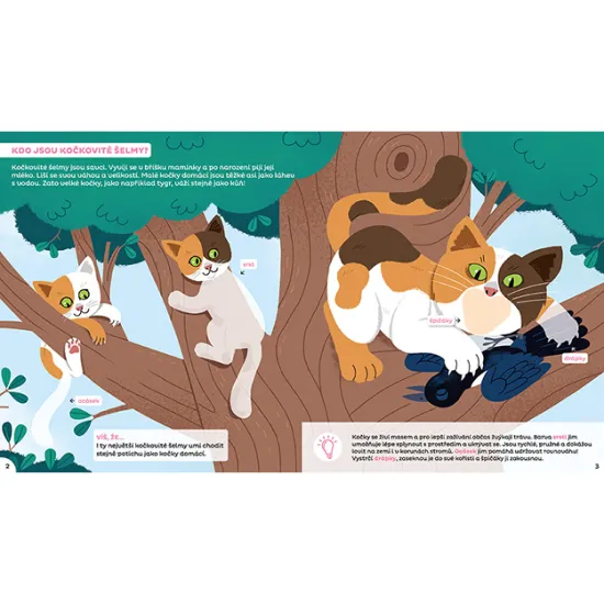 Jiri Models Samolepky pro zvídavé děti Šelmy Barevná samolepková knížka Šelmy s obrázky různých šelem a úkoly k vyplnění.