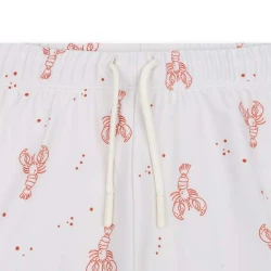 Plavky Boxerky s UPF 50+ Little Lobster