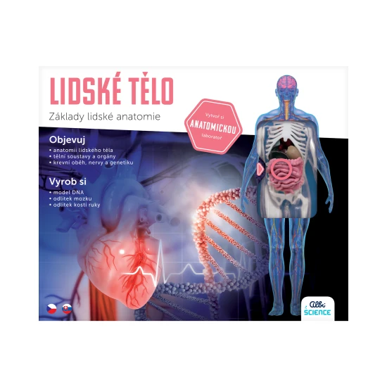 Interaktivní model lidského těla s orgány a kostmi.