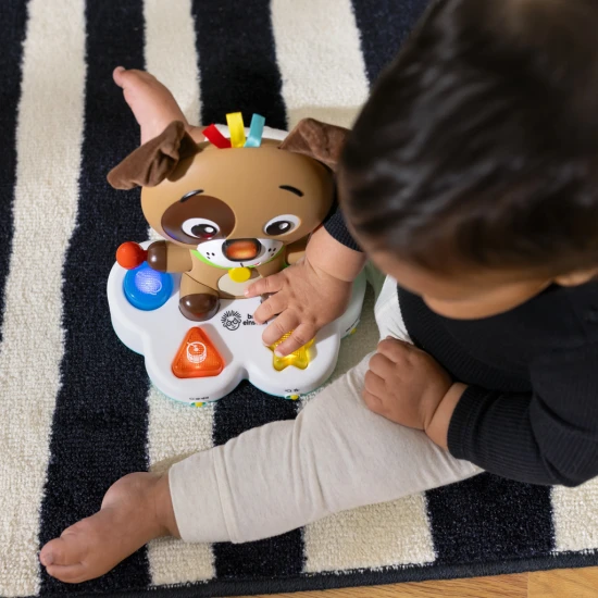 Hudební vzdělávací hračka Drum & Learn Dean™ 6m+ Baby Einstein 16830-4