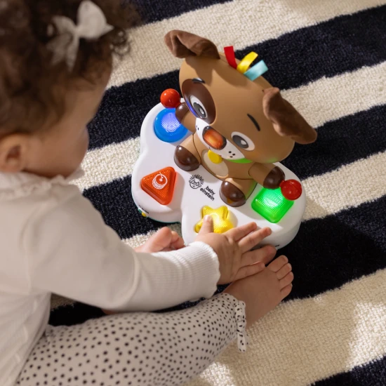 Hudební vzdělávací hračka Drum & Learn Dean™ 6m+ Baby Einstein 16830-4