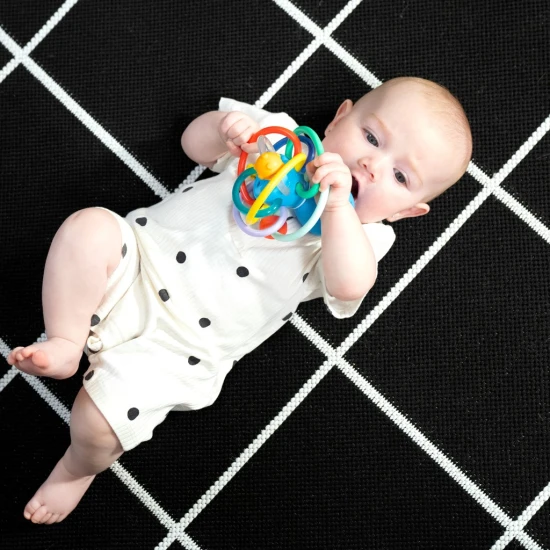 Kousátko/chrastítko Opus’s Shake & Soothe™ 0m+ Baby Einstein 13157-6