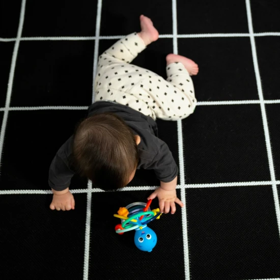 Kousátko/chrastítko Opus’s Shake & Soothe™ 0m+ Baby Einstein 13157-6