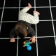 Kousátko/chrastítko Opus’s Shake & Soothe™ 0m+ Baby Einstein 13157-6