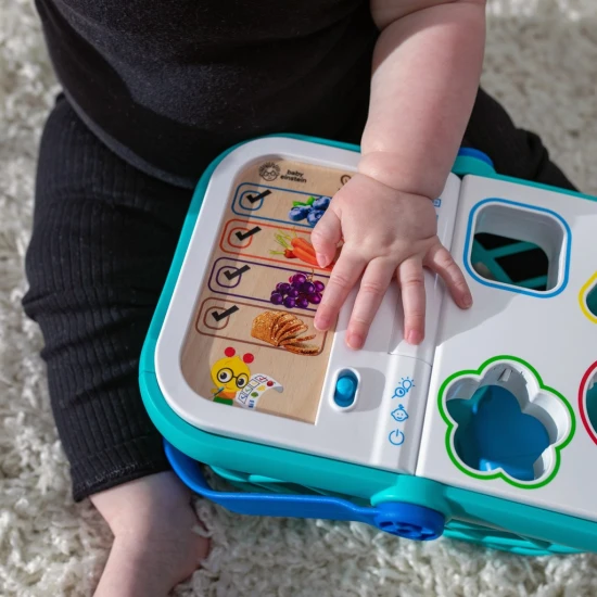 Nákupní košík Magic Touch HAPE 9m+ Baby Einstein 16659-4