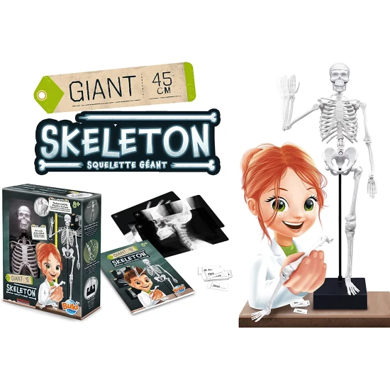 Sestavte obrovskou lidskou kostru s realistickou strukturou.